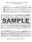 Grand Trio in D Op87
