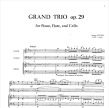 Grand Trio Op29