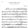 Grand Trio Op29