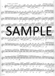 Great Characteristic Etudes