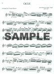 Great Concert Encores For Flute