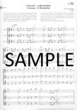Groove Connection-Flute
