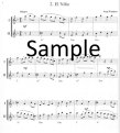 Happy Flutes (v.3) (score only)