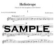 Heliotrope
