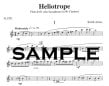 Heliotrope