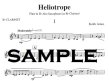 Heliotrope