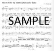 High Performance Flute-The Sequel