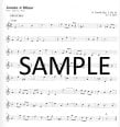 High Performance Flute-The Sequel