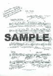 Hindemith, Music of (Robison Flute Masterclass)