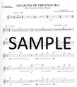 Hit Movie & TV Instrumental Solos