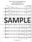How Lovely Is Thy Dwelling Place (from A German Requiem)