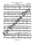 Hymns for the Flute (v.6)