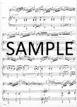 Illusion, The (Adagio & Variation Op133)