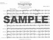 Imaginings - A Musical Canvas for Flute Orchestra