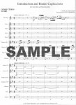 Introduction and Rondo Capriccioso for Solo Flute and Wind Ensemble