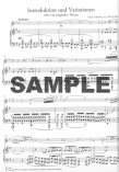 Introduction and Variations Op160