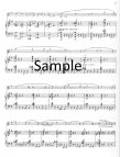 Introduction et Allegretto