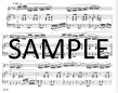 Introduction & Variations Op160