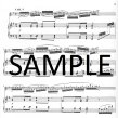 Introduction & Variations Op160