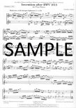 Invention after BWV 1013