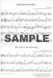Irish Flute Book-20 Famous Tunes from Ireland