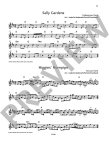 Irish Flute Book-20 Famous Tunes from Ireland