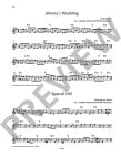 Irish Flute Book-20 Famous Tunes from Ireland