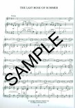 Irish Fluter (ed.Fleming) (reels,jigs,trad melodies)