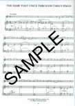 Irish Fluter (ed.Fleming) (reels,jigs,trad melodies)