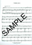 Irish Fluter (ed.Fleming) (reels,jigs,trad melodies)