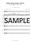 Irish Folk Song Suite