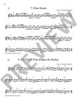 Irish Folk Tunes - Steinbach
