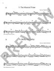 Irish Folk Tunes - Steinbach