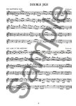 Irish Tin Whistle Legends (book)