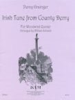 Irish Tune from County Derry