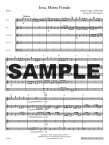 Jesu, Meine Freude (arr.Rumsey) (WW5T) (sc&pts)