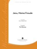Jesu, Meine Freude (arr.Rumsey) (WW5T) (sc&pts)