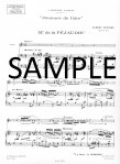 Joueurs de Flute #4(Mr de la Pejaudie)