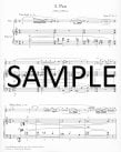 Joueurs de Flute Op27(ed.Beyer)