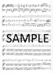 Konzert in e (Concerto in e)