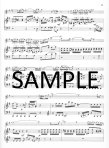 Konzert in e (Concerto in e)