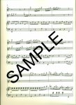 Konzert in G