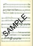 Konzert in G