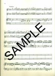 Konzert in G