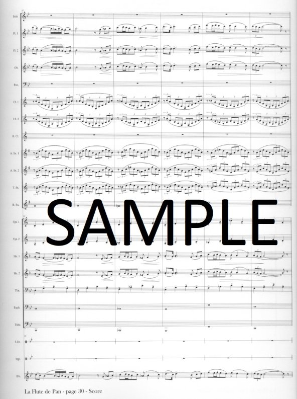 Buy La Flute de Pan Online at $110 - Flute World