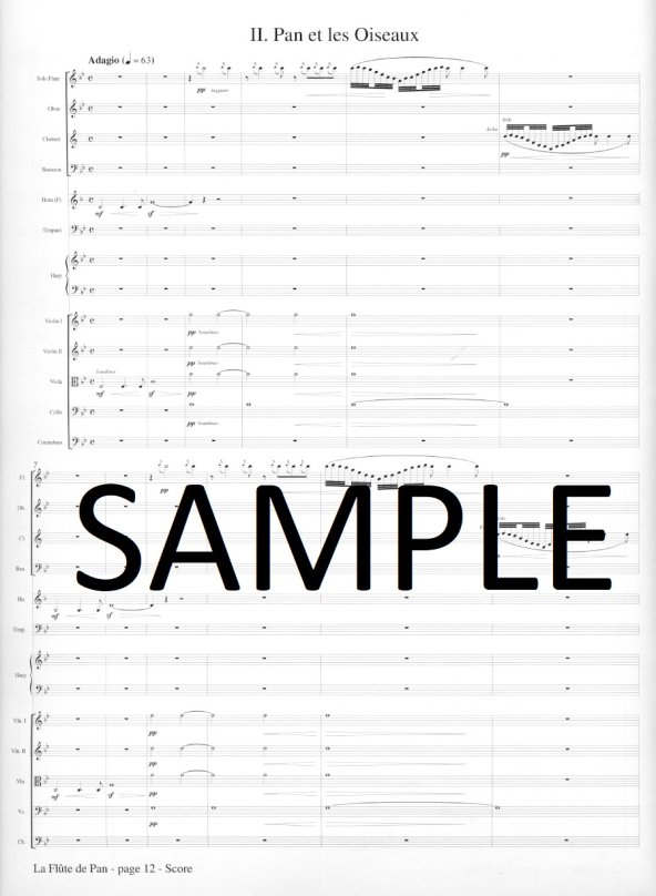 ピカソ、Etudes Pour La Flute De Pan Buy La Flute de Pan for Flute and Orchestra Online at $80