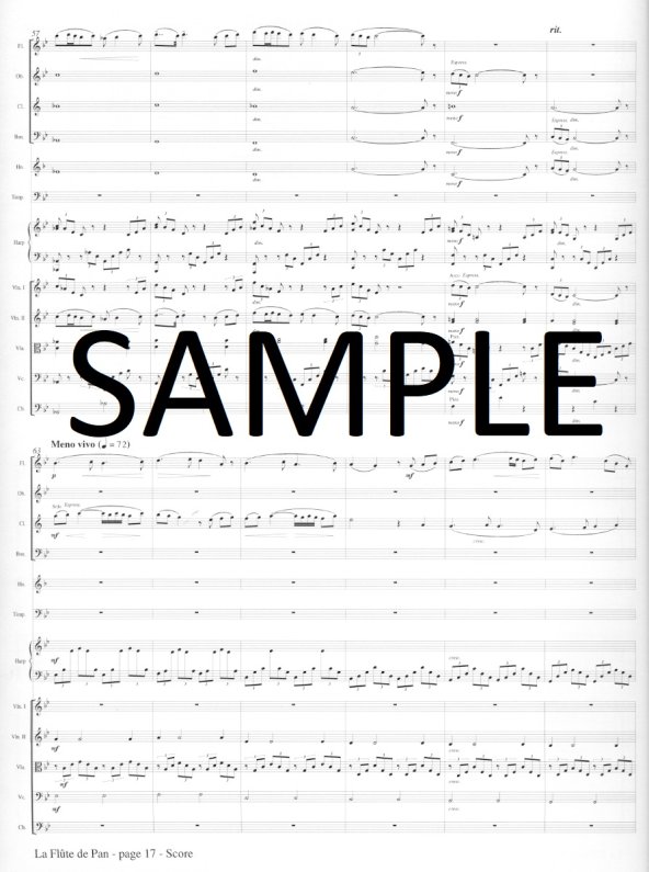 ピカソ、Etudes Pour La Flute De Pan Amazon.com: La flûte de Pan - For Flute & Piano: Jules