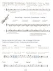La Flute Imaginative(v.2)