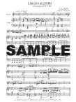 Largo & Allegro from Sonata (K454)