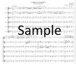 Largo Cantabile from Flute Sonata #1